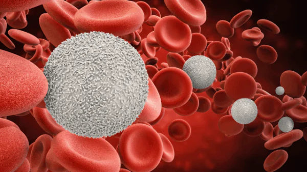 related_article.title