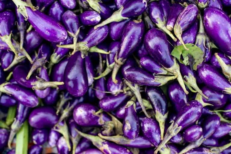 Gibt es eine Auberginen Unverträglichkeit?