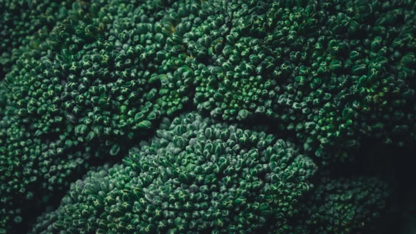 related_article.title