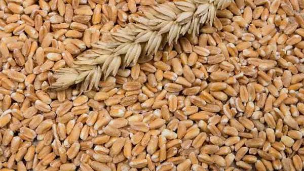 related_article.title