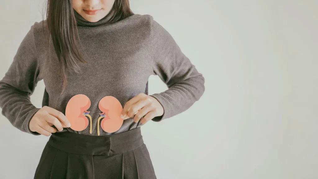 Nierenerkrankungen: Krankheit durch Ernährung