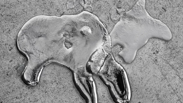 related_article.title