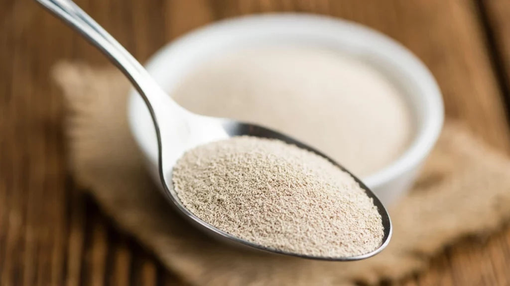 Verständnis und Management von Tyramin-Intoleranz