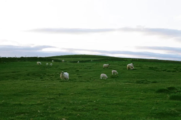 related_article.title